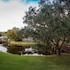 sawgrass marriott golf resort and spa