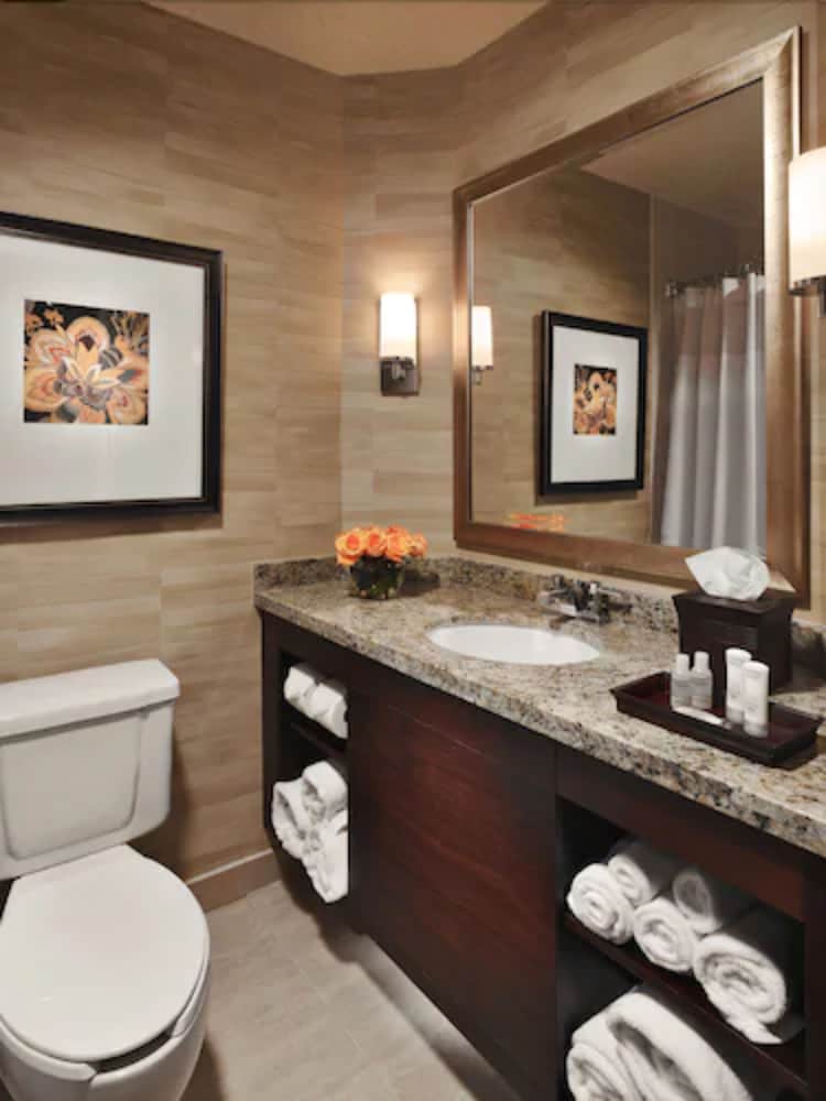 crowne plaza hotel jacksonville airport i 95n by ihg
