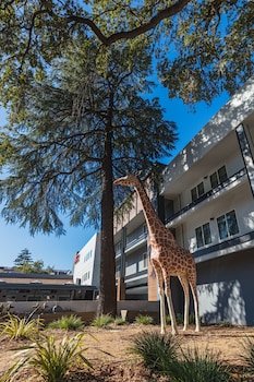 hilton garden inn davis downtown