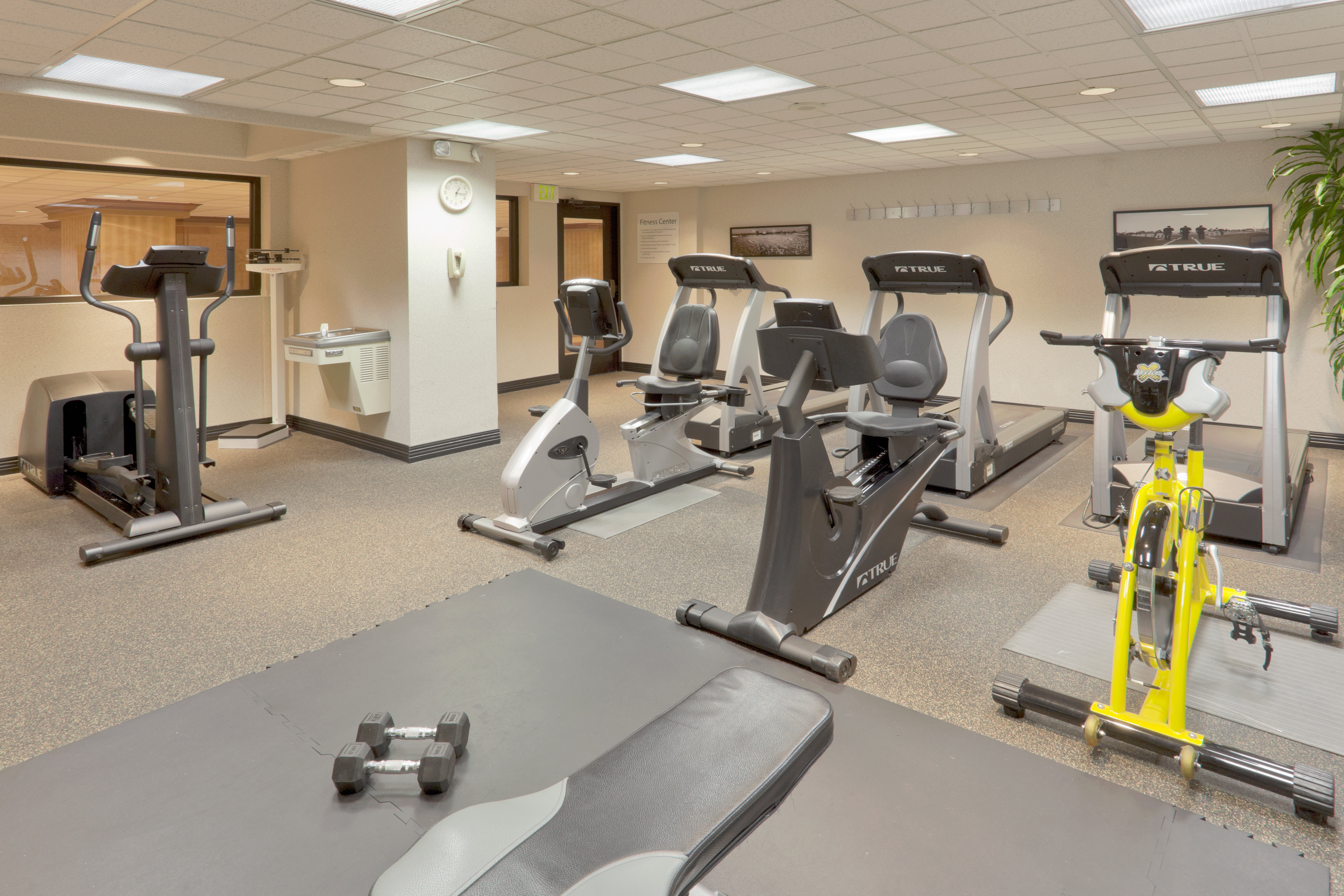 holiday inn sacramento downtown arena by ihg