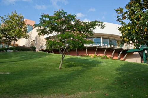 hof hacarmel