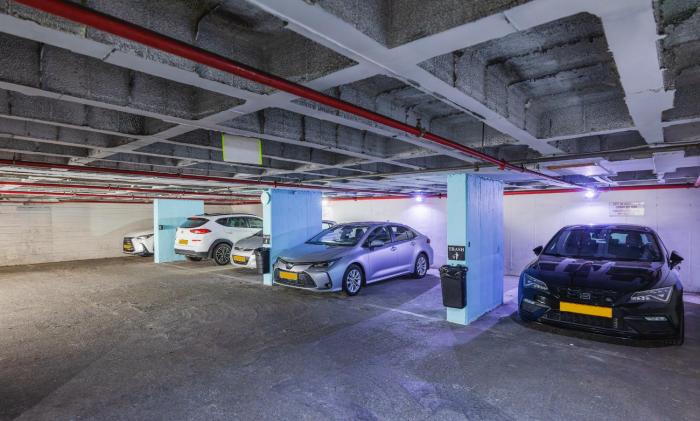 best western regency suites