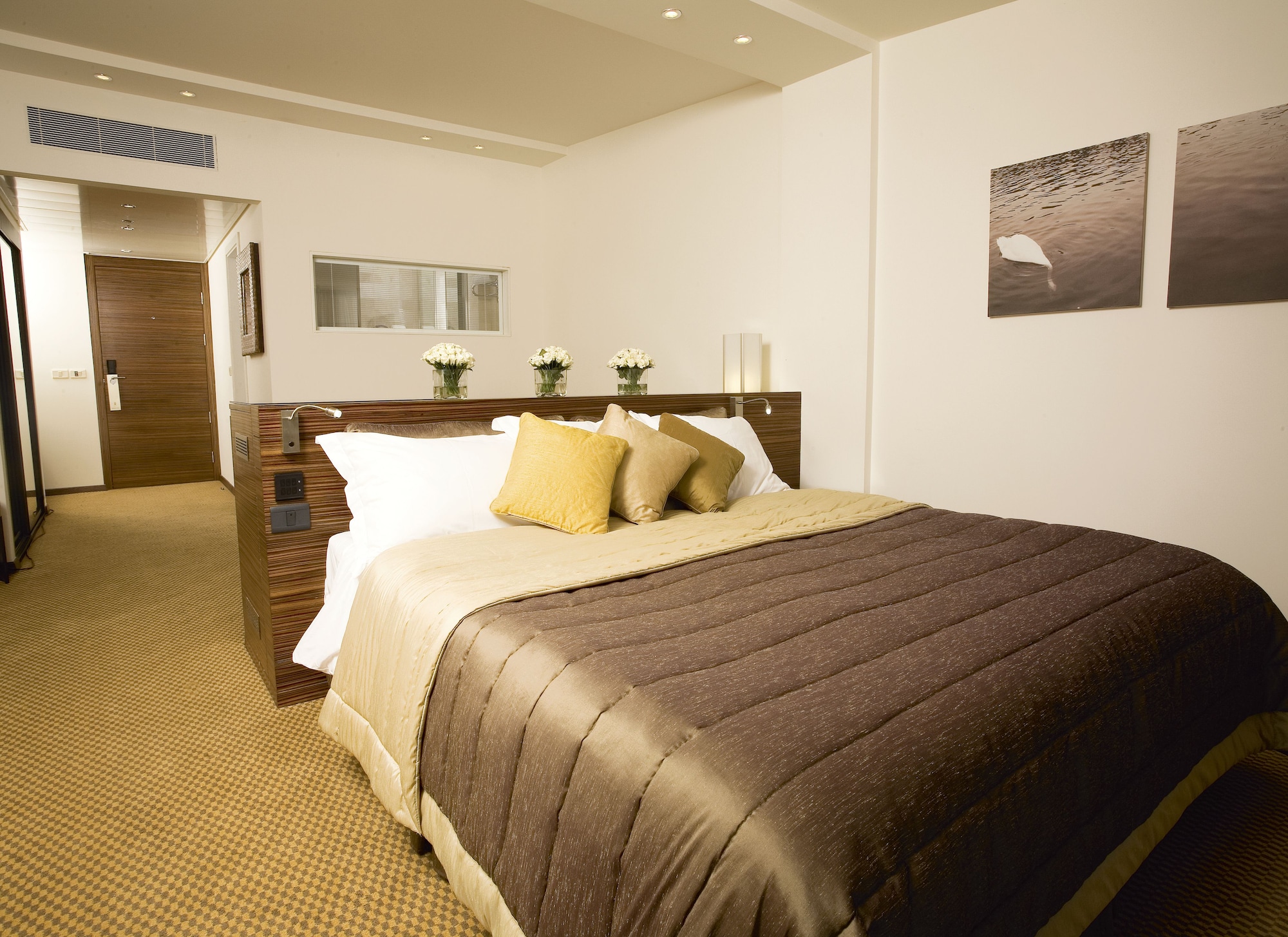 dan accadia hotel