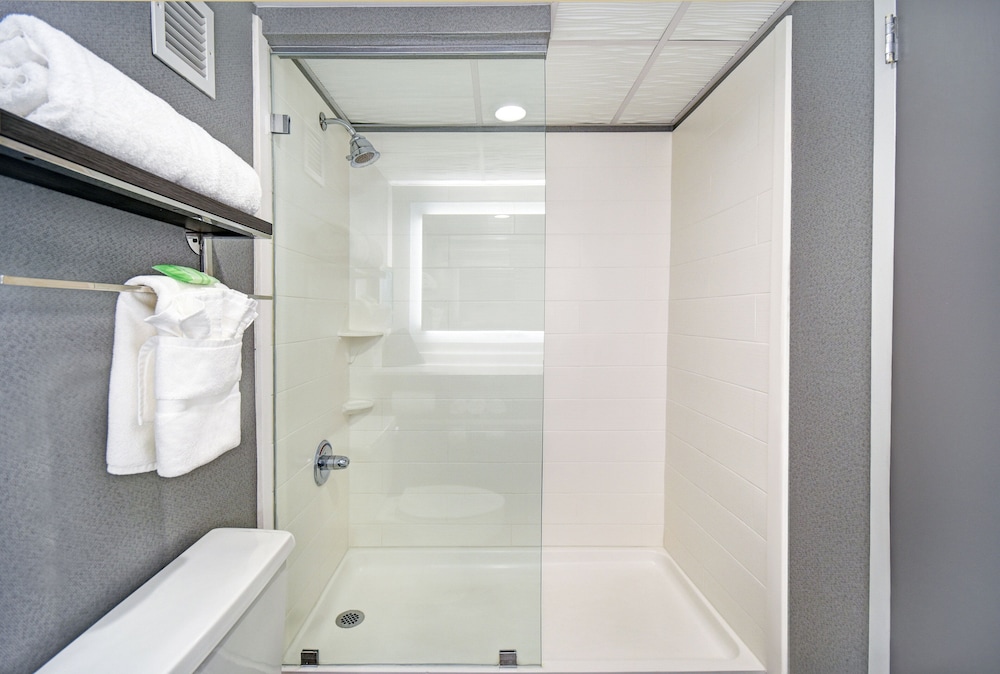 holiday inn downtown memphis by ihg