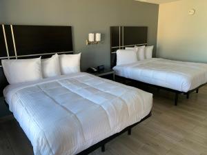 south padre island lodge