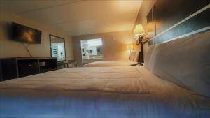 south padre island lodge