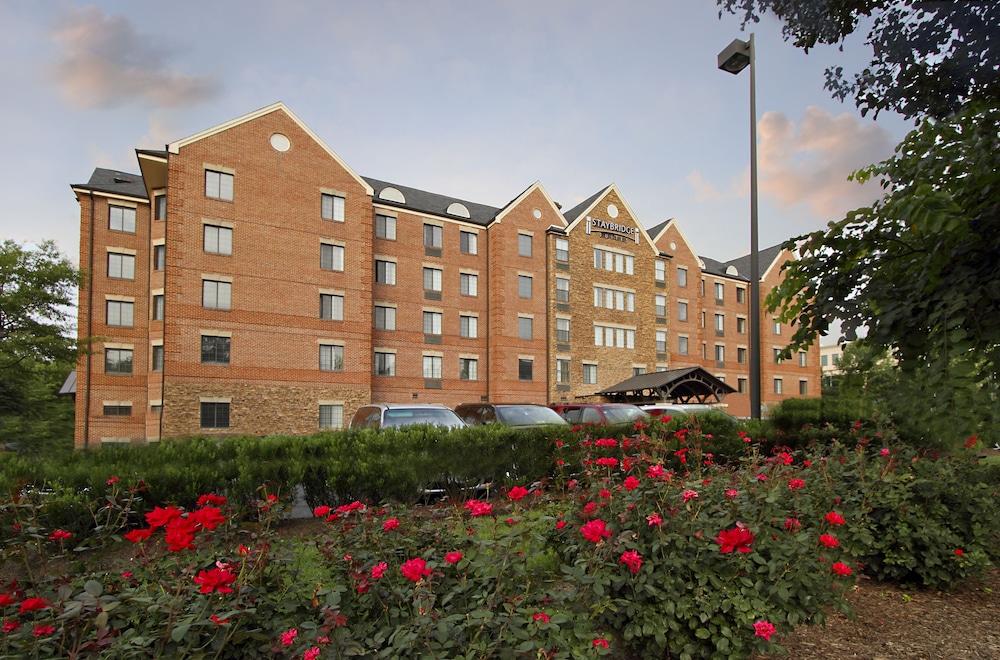 staybridge suites tysons mclean by ihg