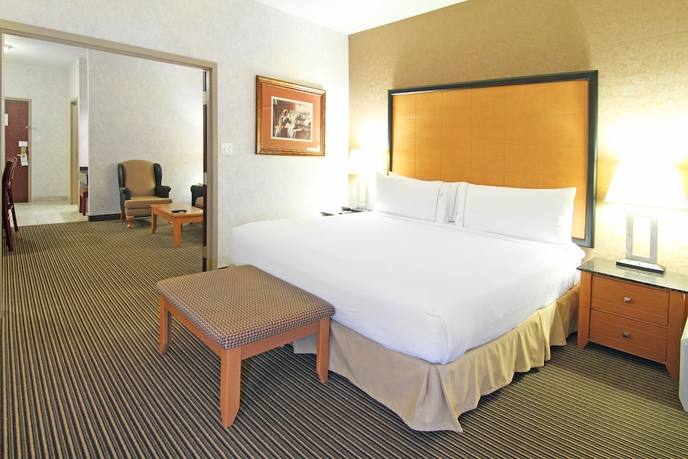 holiday inn express and suites calgary south macleod trail s