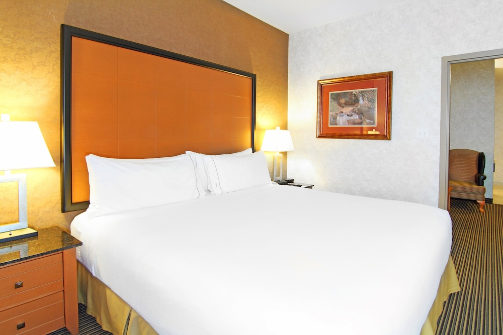 holiday inn express and suites calgary south macleod trail s