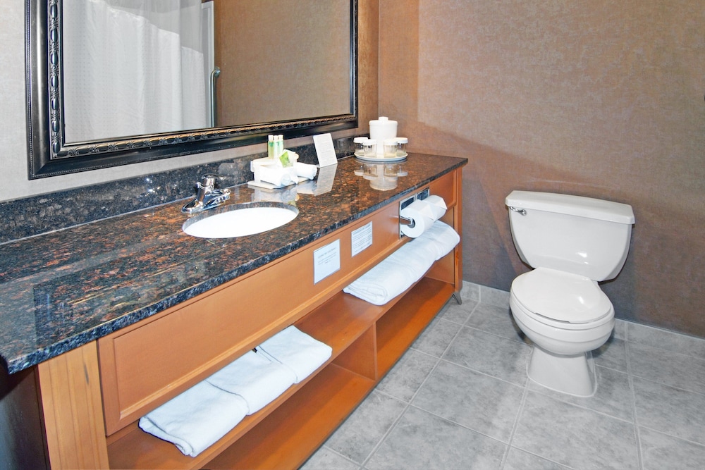 holiday inn express and suites calgary south macleod trail s