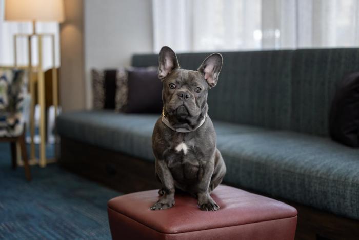 hampton inn cleveland downtown