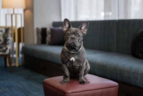 hampton inn cleveland downtown