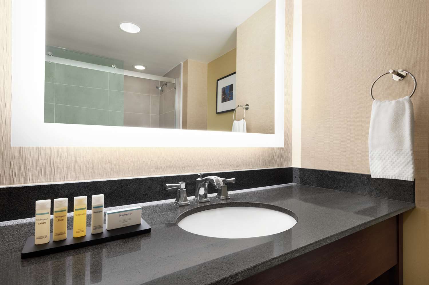 embassy suites by hilton cleveland rockside