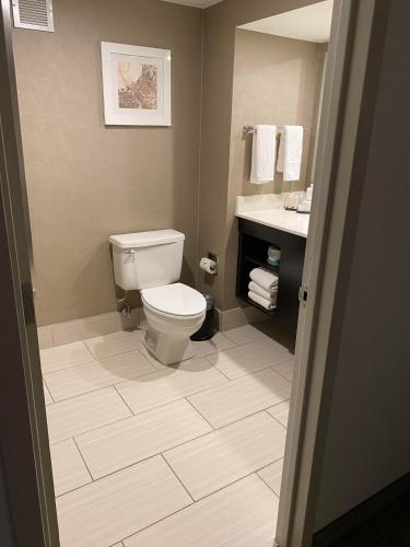 embassy suites by hilton milwaukee brookfield