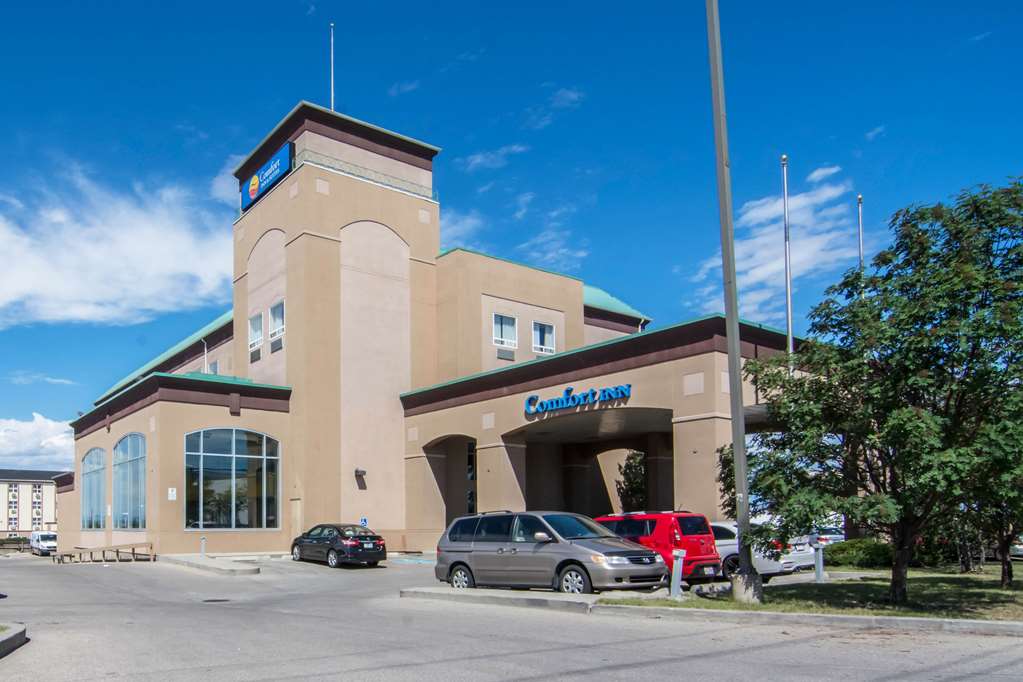 comfort inn and suites airport south
