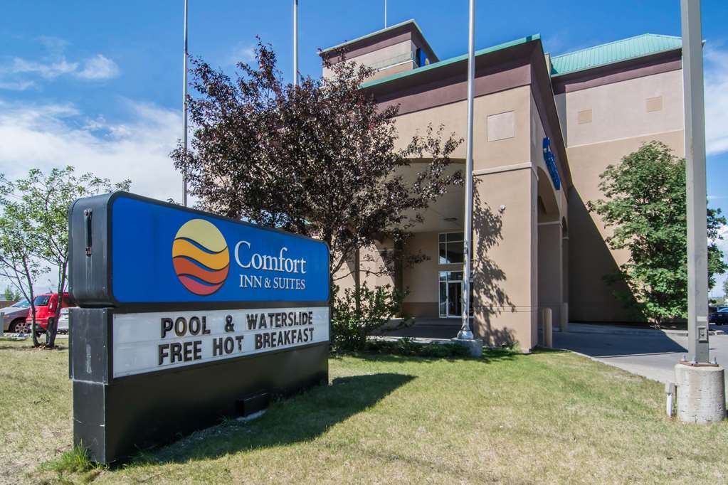 comfort inn and suites airport south