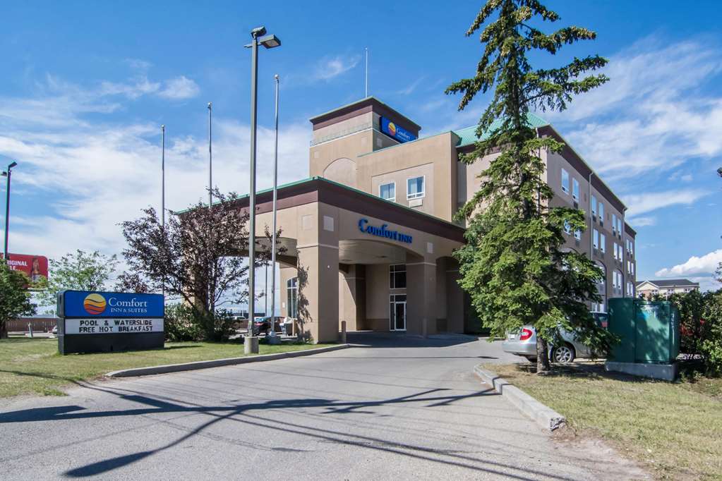 comfort inn and suites airport south