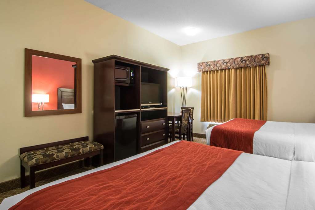 comfort inn and suites airport south