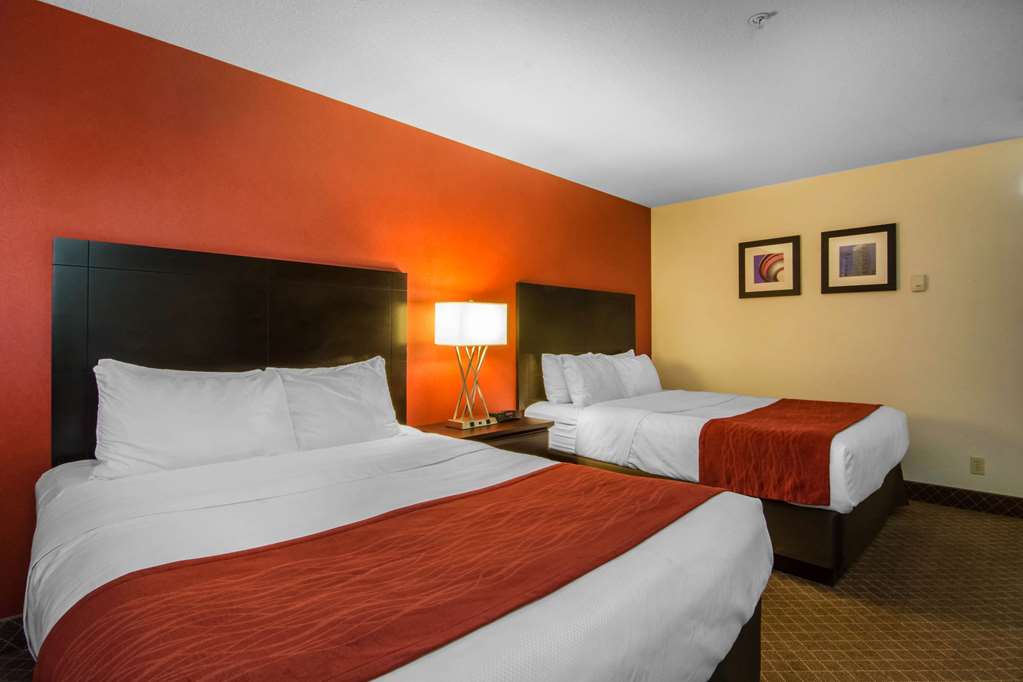 comfort inn and suites airport south
