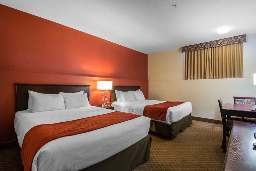 comfort inn and suites airport south
