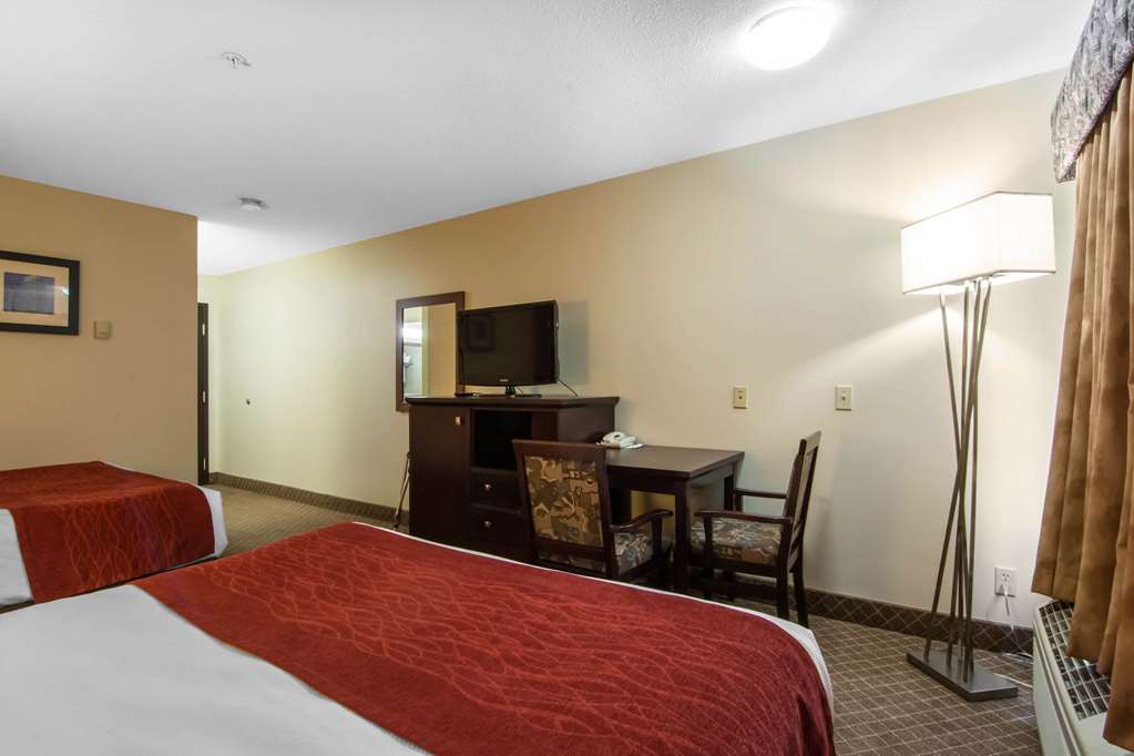 comfort inn and suites airport south