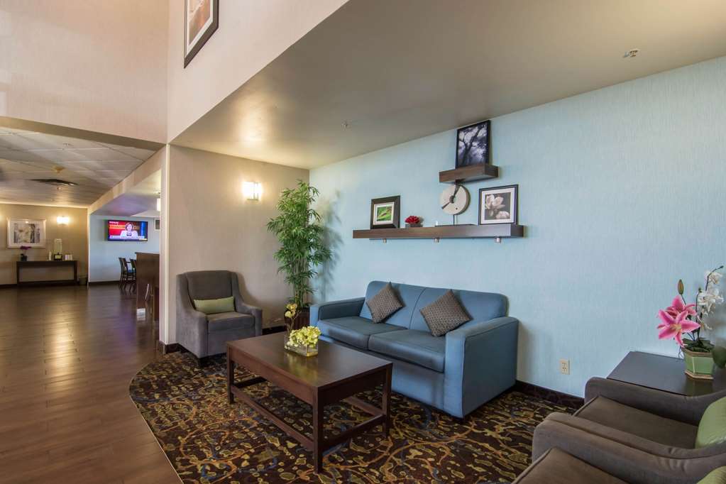 comfort inn and suites airport south