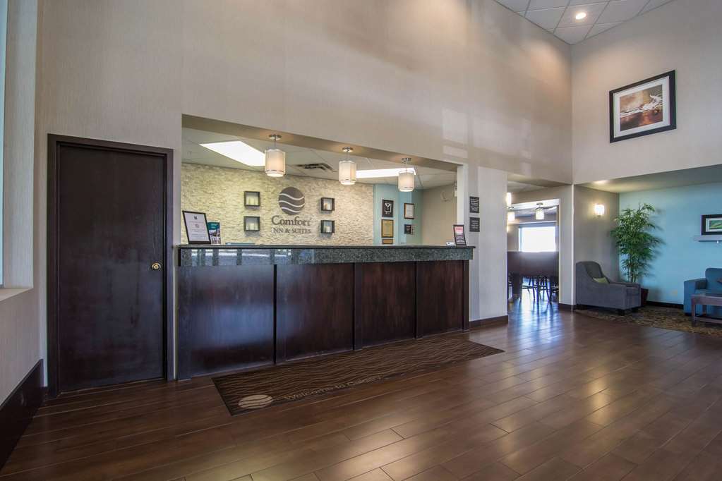 comfort inn and suites airport south