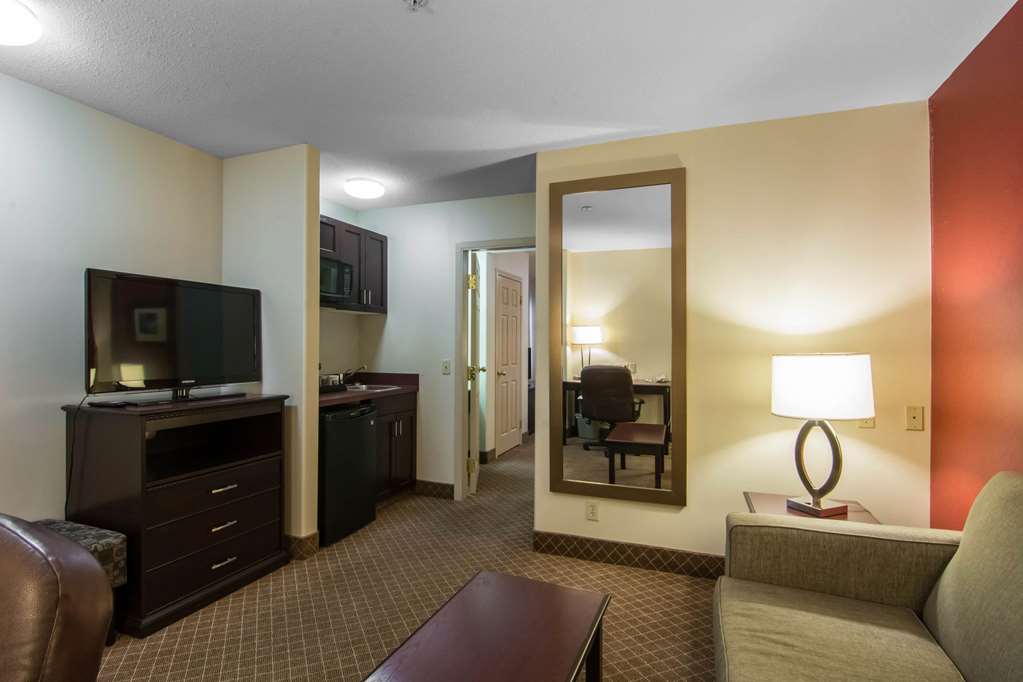 comfort inn and suites airport south