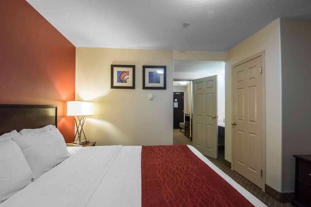 comfort inn and suites airport south