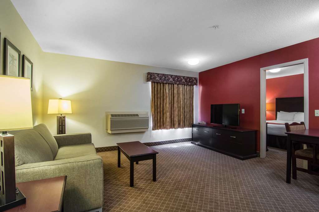 comfort inn and suites airport south