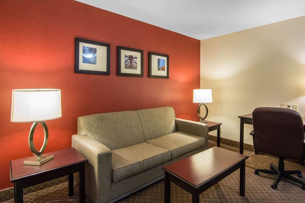 comfort inn and suites airport south