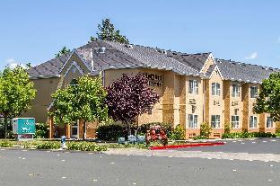 quality inn and suites