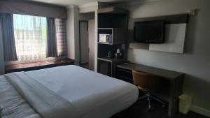 quality inn and suites