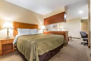 quality inn and suites