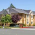 quality inn and suites