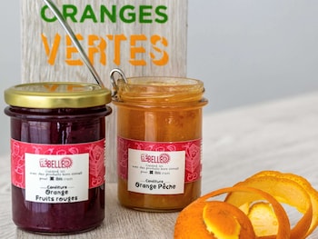 ibis styles arles palais des congres