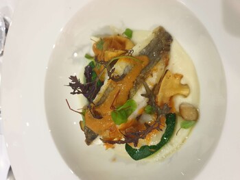 ibis styles arles palais des congres