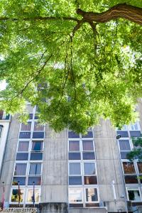 boutique urban madrid genova