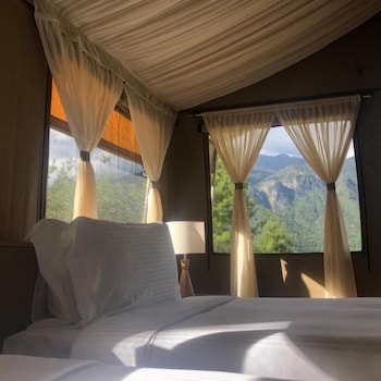 the tigers nest camp