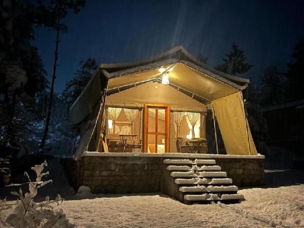 the tigers nest camp