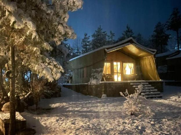 the tigers nest camp