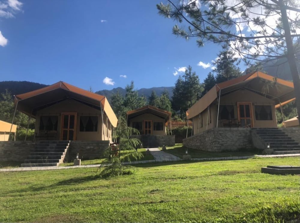 the tigers nest camp