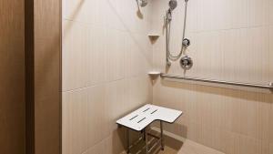 best western plus cottontree inn