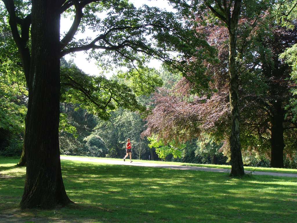 parkhotel engelsburg