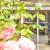 hotel innsento passau
