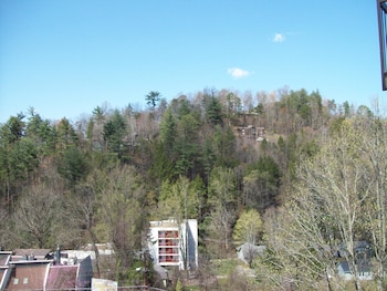 Gatlinburg Chateau,Near Ripley's Aquarium Of The Smokies,3 star