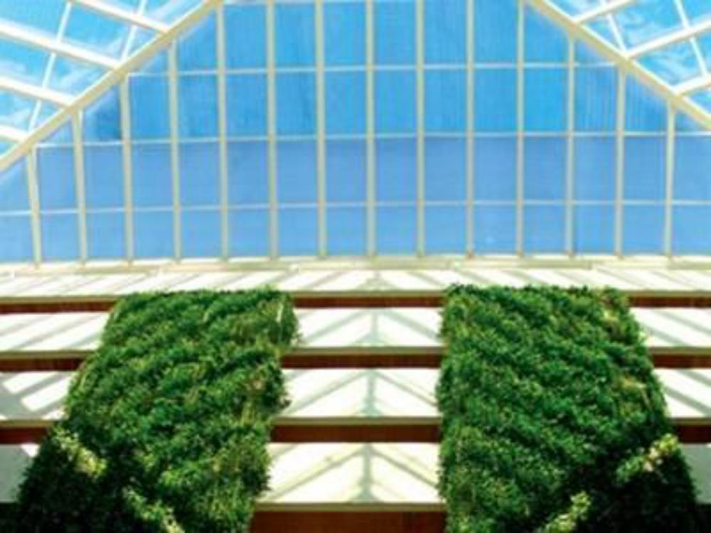 sunset royal beach resort all inclusive