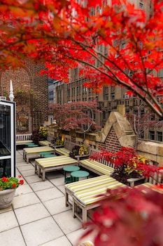 library hotel by library hotel collection