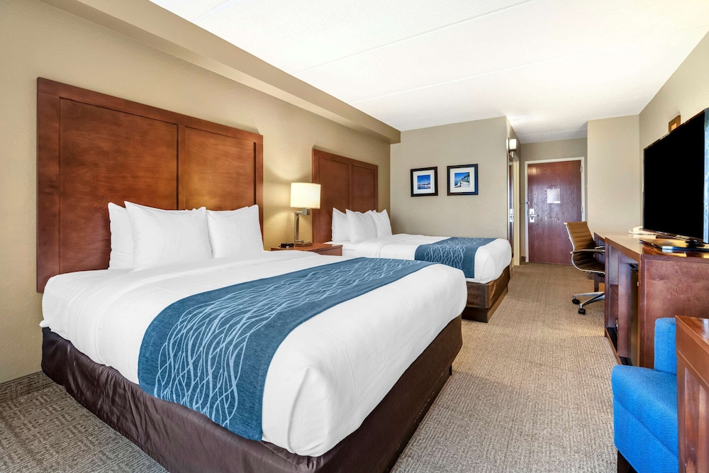 comfort inn and suites orlando north