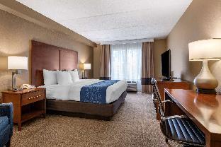 comfort inn and suites orlando north